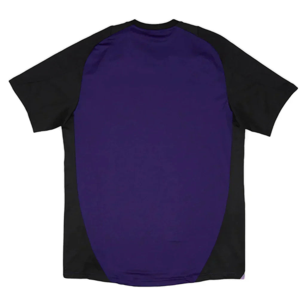 Camiseta Capacitación Alemania Copa América 2024 Hombre