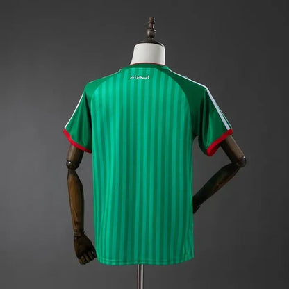 Algeria Away Jersey 2026 World Cup Football Kit Soccer Jersey