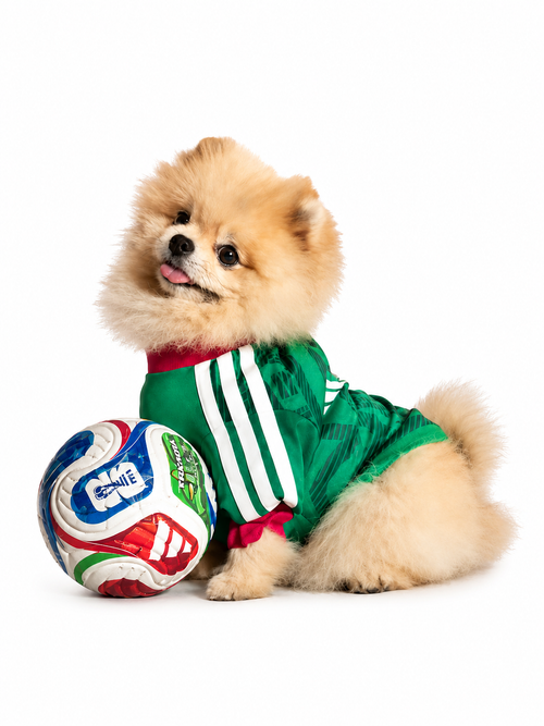 Camisetas del Mundial 2026 Mascotas - Mexico