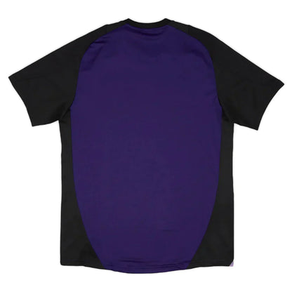 Camiseta  Capacitación Alemania Copa América 2024 Hombre