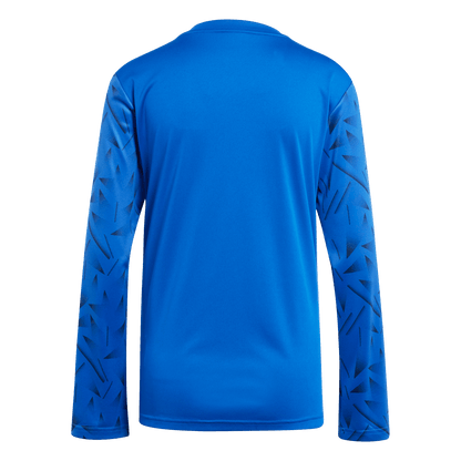 adidas Women's Team Icon 25 Long Sleeve Jersey - Royal