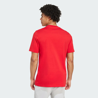 Adidas Arsenal FC Seasonal Graphic T-Shirt