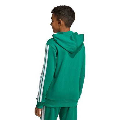 Adidas Youth Mexico  DNA Hoodie-Green