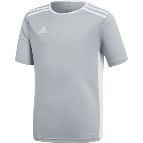 Adidas Entrada 18 Youth Jersey - Grey