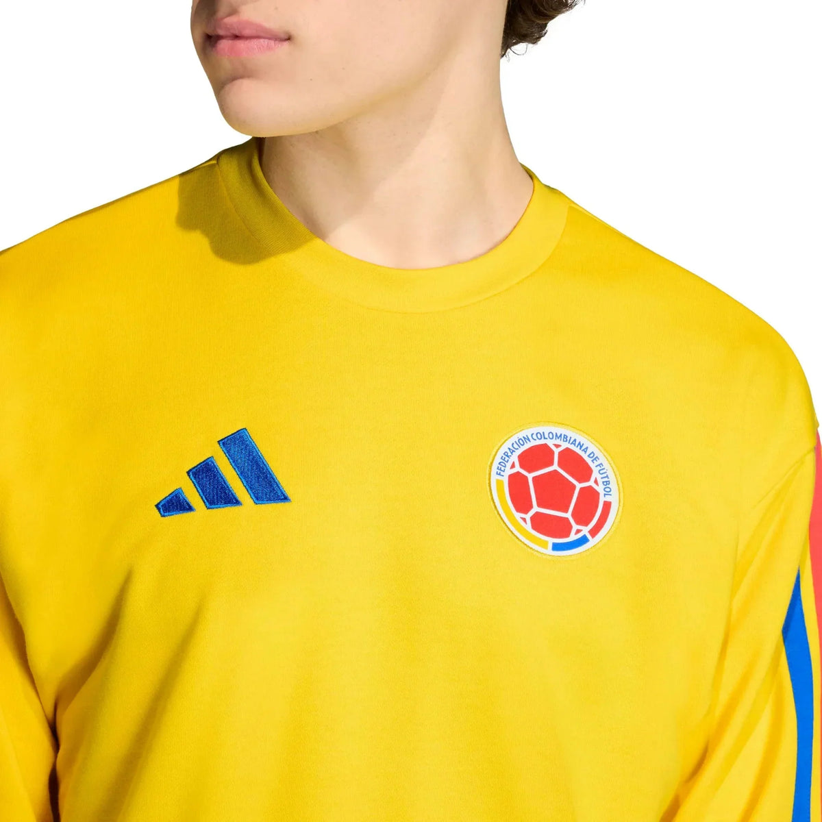 adidas 2026 Colombia Men's DNA Crew Sweatshirt