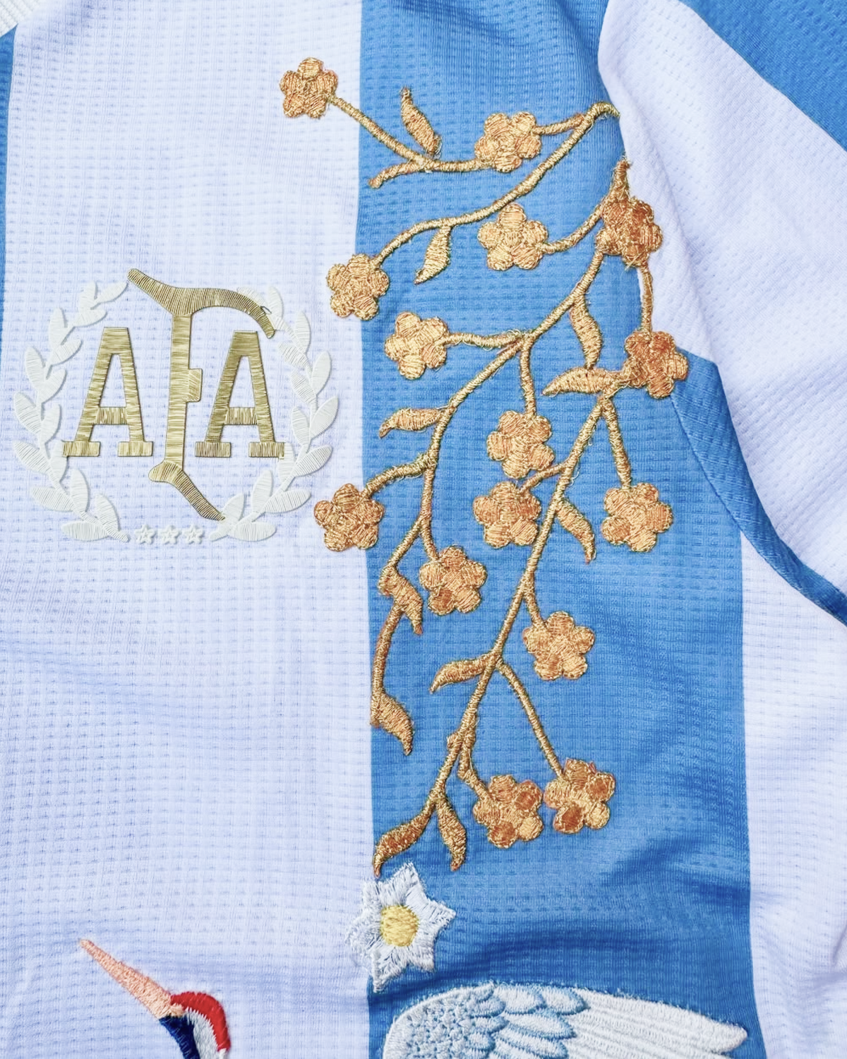 Argentina Embroidered Jersey 25/26