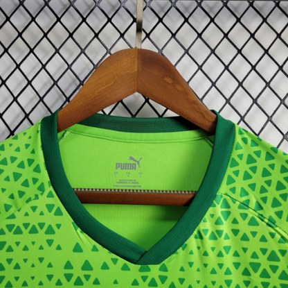 Jersey 24∕25 Palmeiras Treino