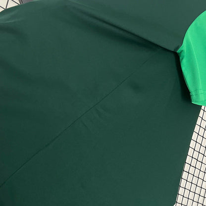 Jersey 24∕25 Polo Palmeiras green