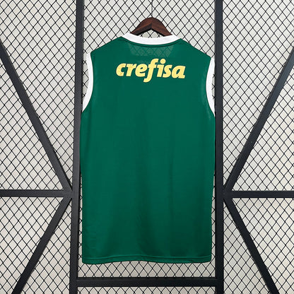 Jersey 24∕25 Vest Palmeiras home