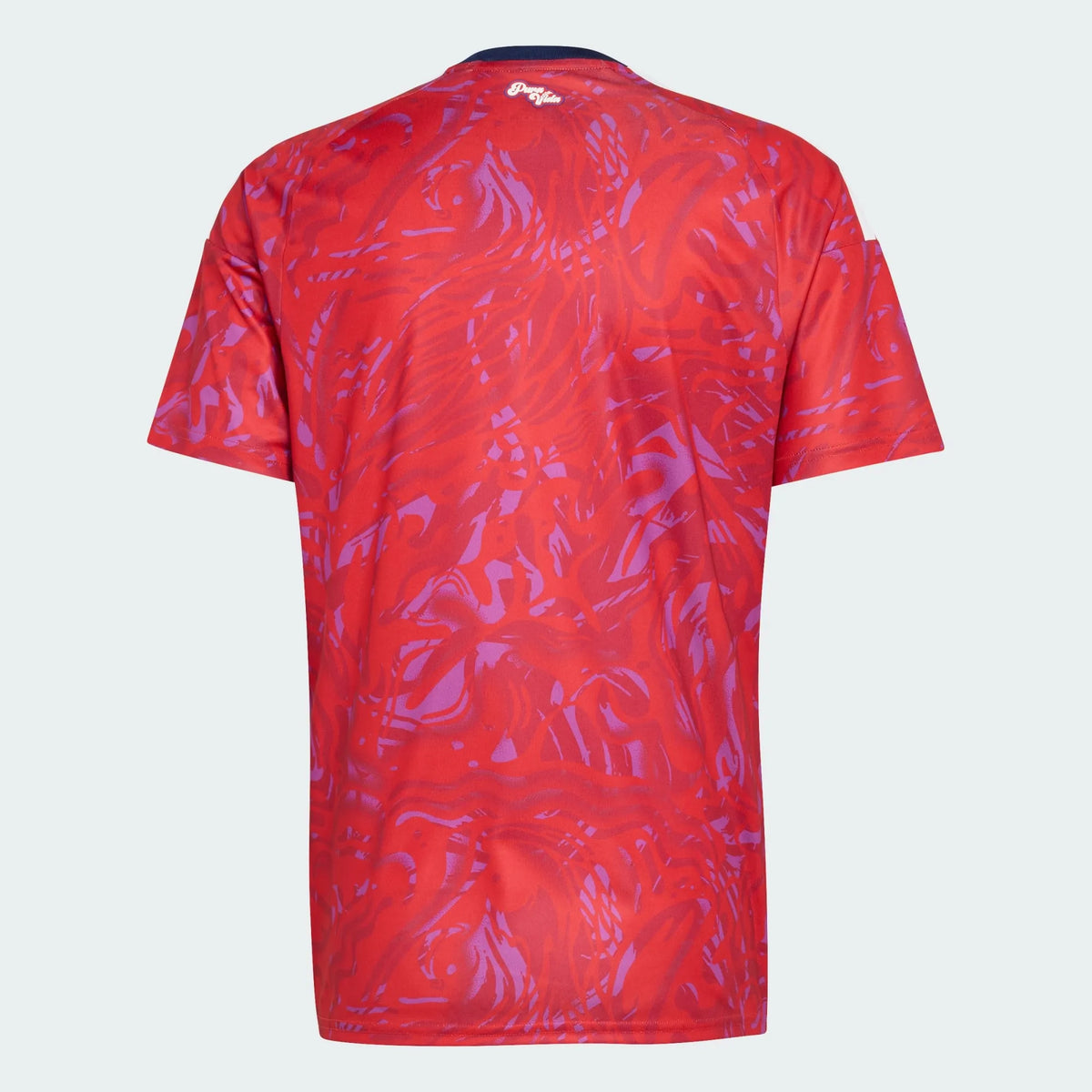 Jersey Costa Rica 2026 Home WorldCup