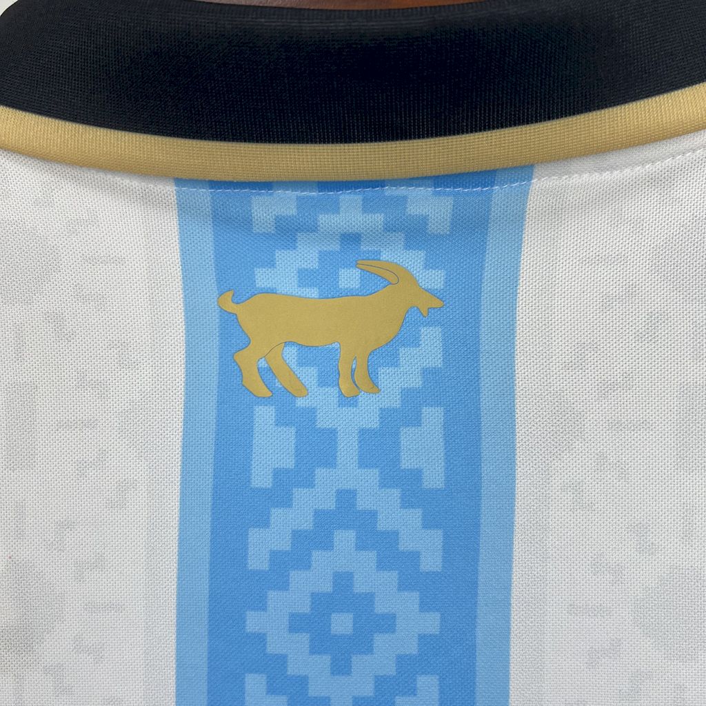Jersey DA ARGENTINA 24/25 Special Edition