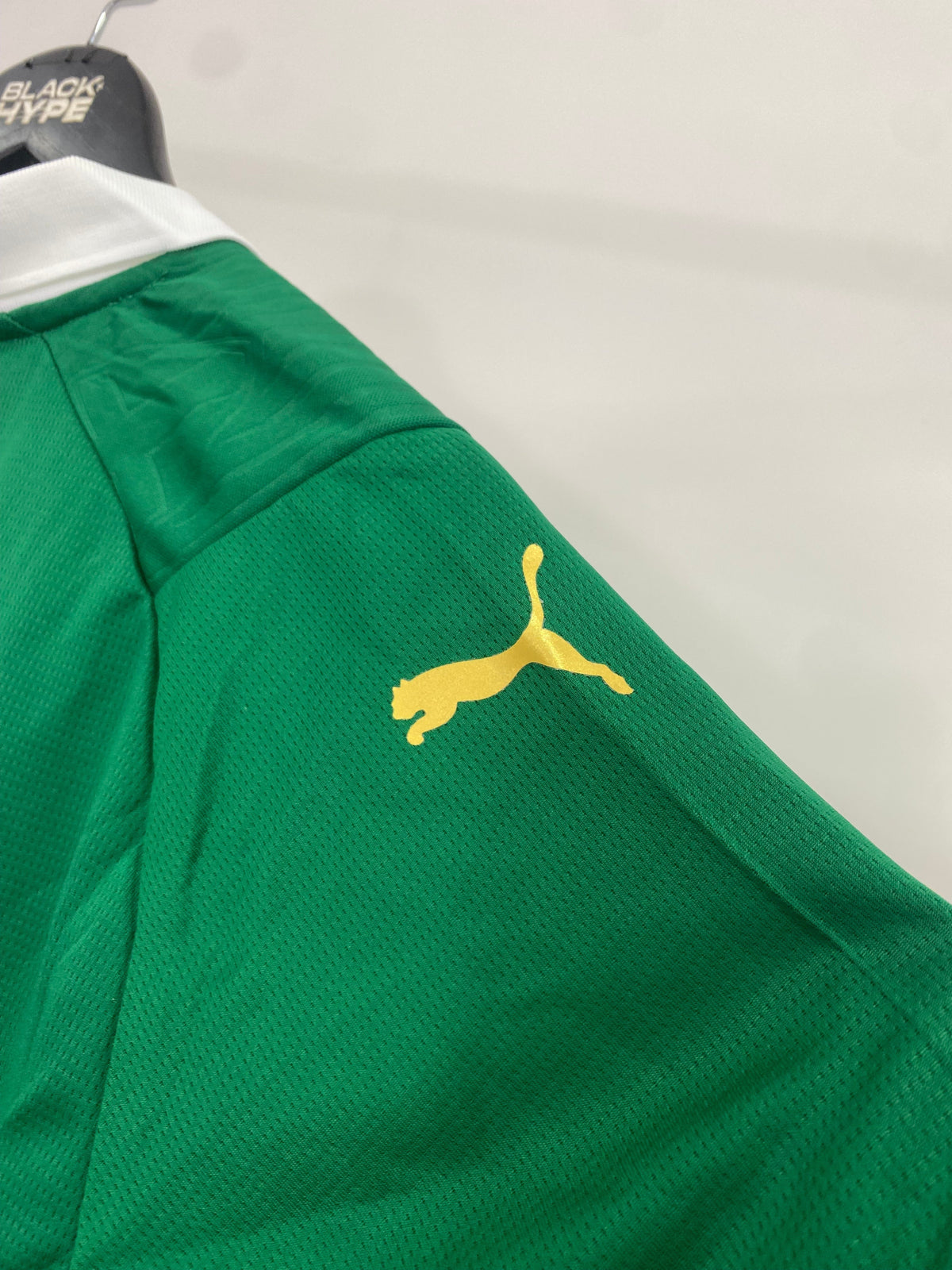 Jersey do Palmeiras Home 24/25 s/n° Torcedor Masculino - Verde