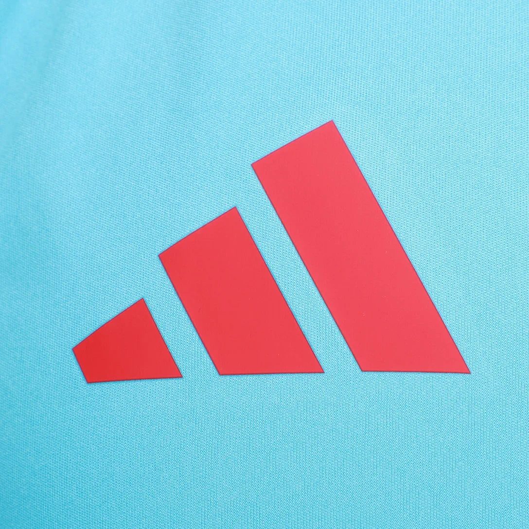 Jersey Flamengo Regata Treino 25/26 Azul e Vermelho