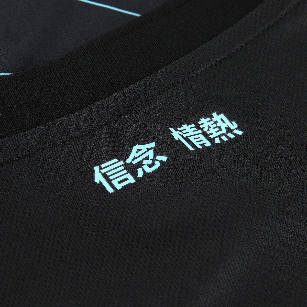 Jersey Lazio 24/25 Third